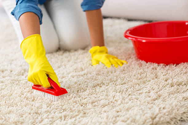 Carpet Cleaning - Guide Cleaning Services with Prices List